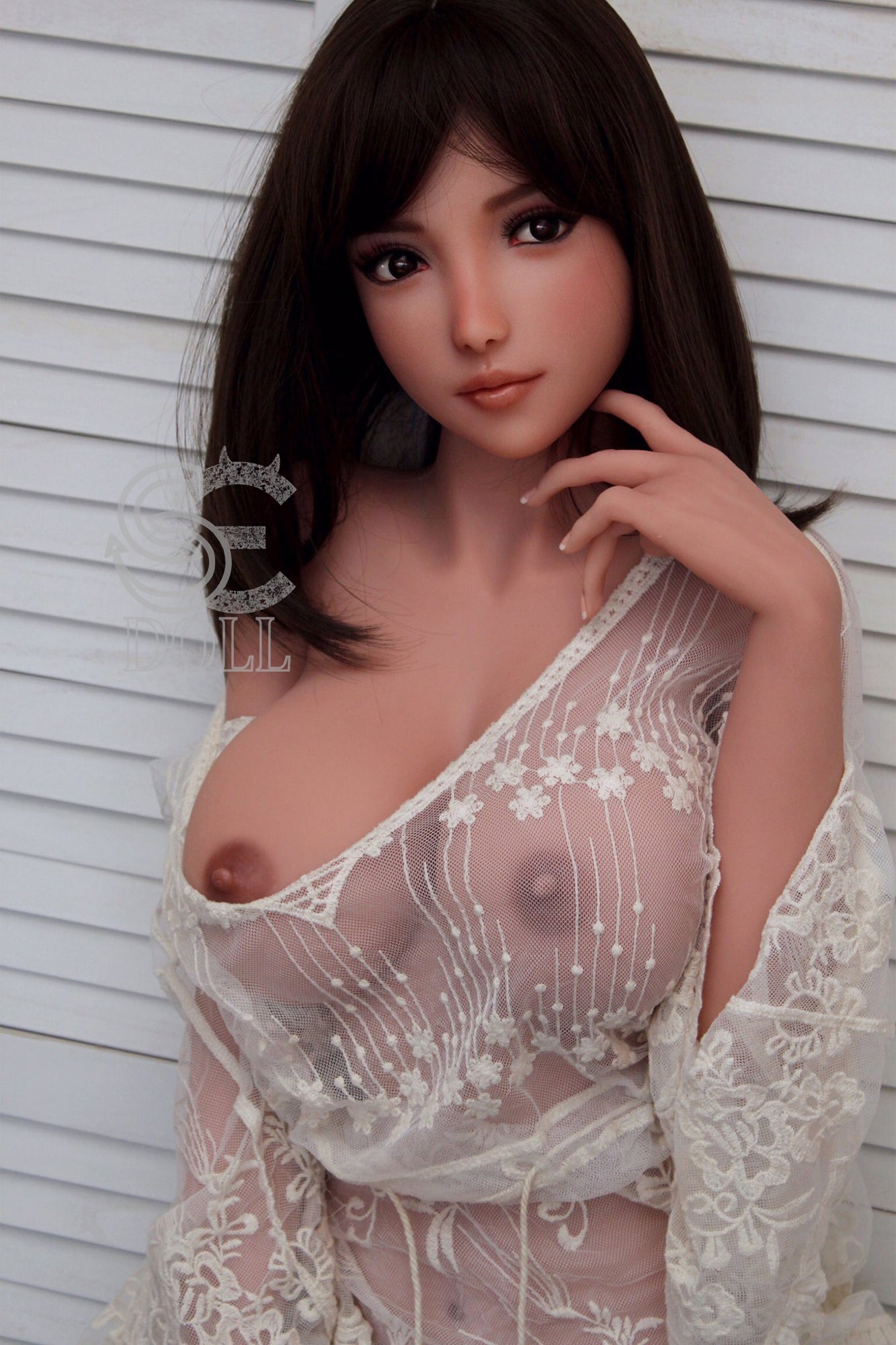 SED241-14.jpg