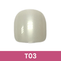 T03