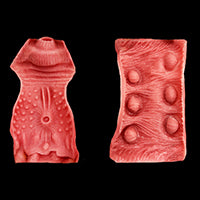 Soft Vagina and Anal