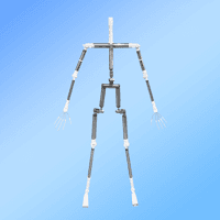 Normal Skeleton(Default)