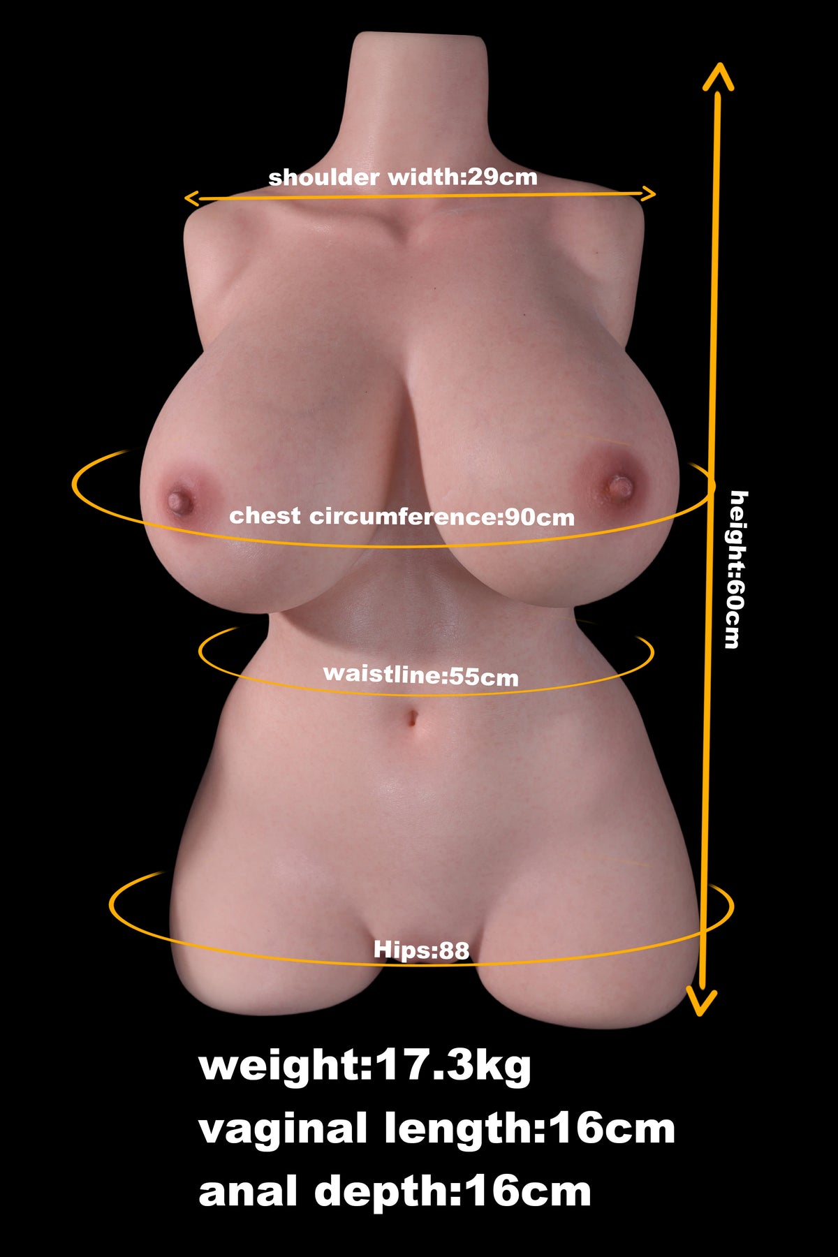 Measurement Image