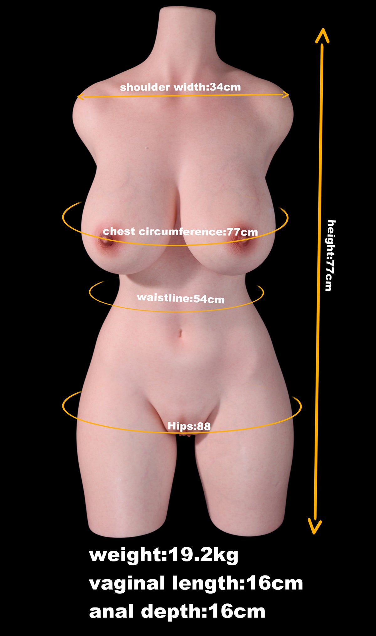 Measurement Image