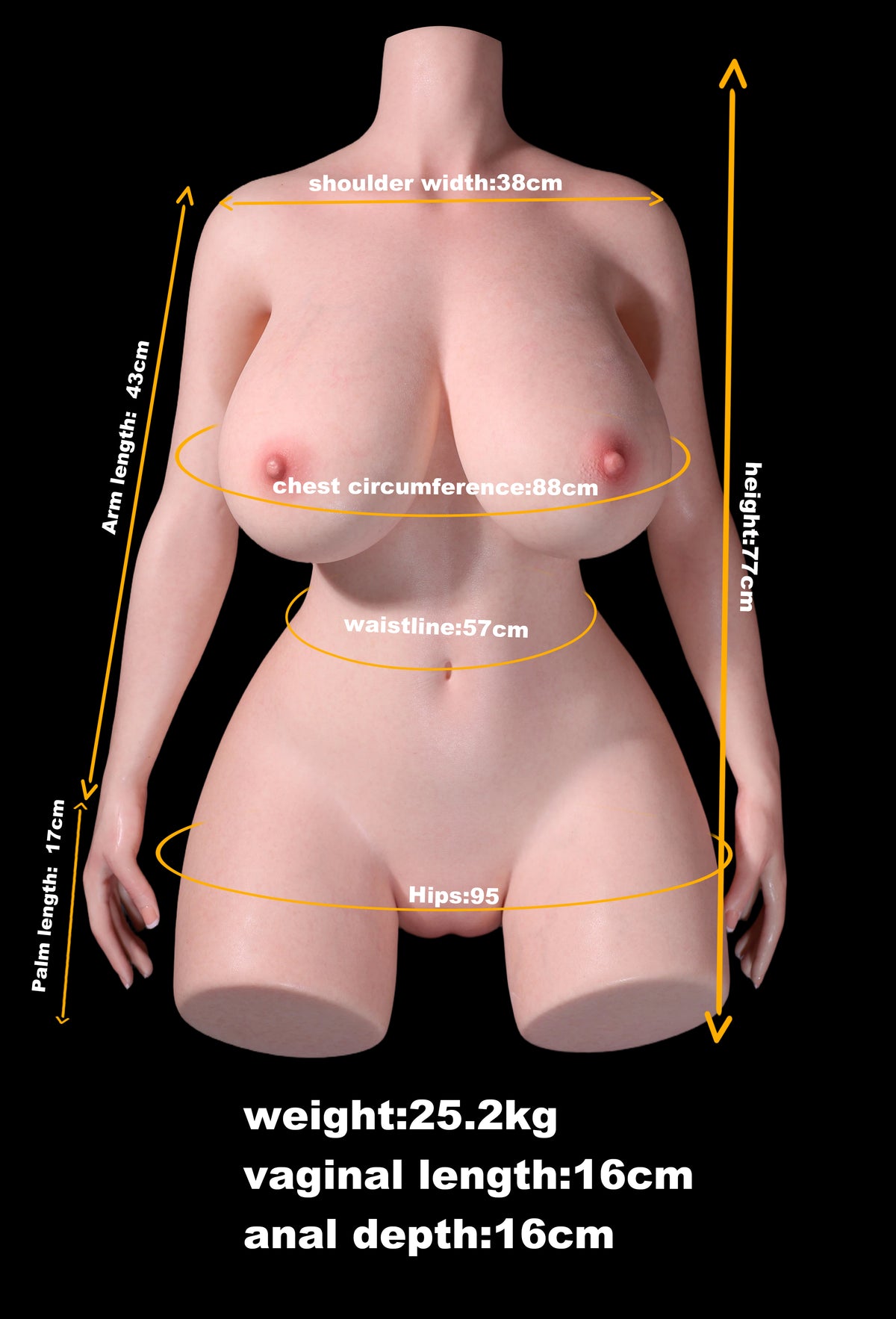 Measurement Image