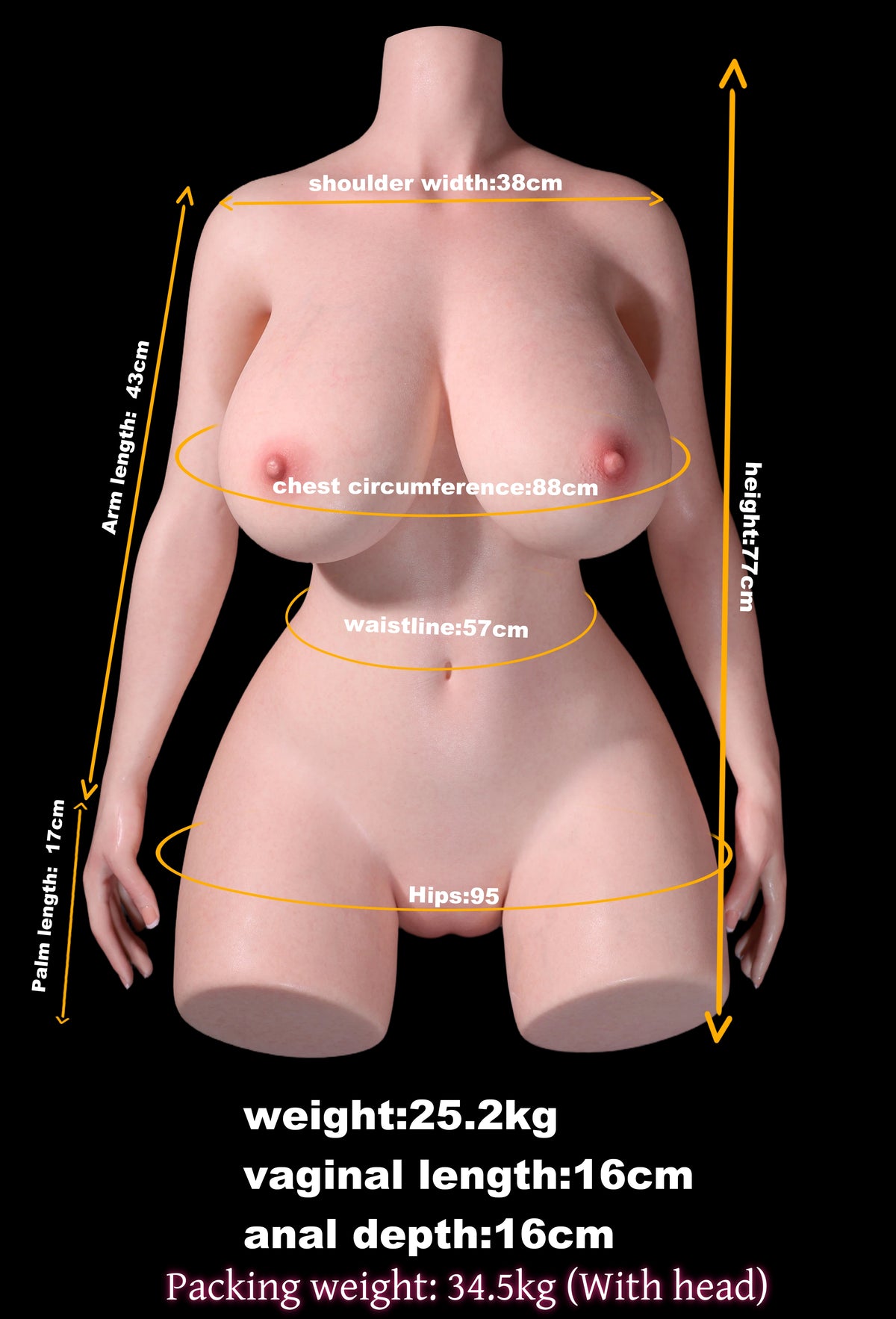 Measurement Image